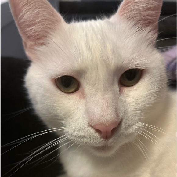 💗 - Picture 6 of 7